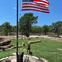 cadaver dogs campaign (32)